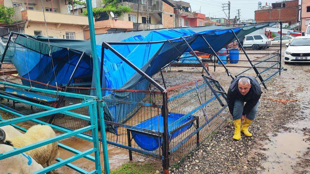 Kurban pazarı sular altında kaldı, besici gözyaşlarıyla konuştu 1